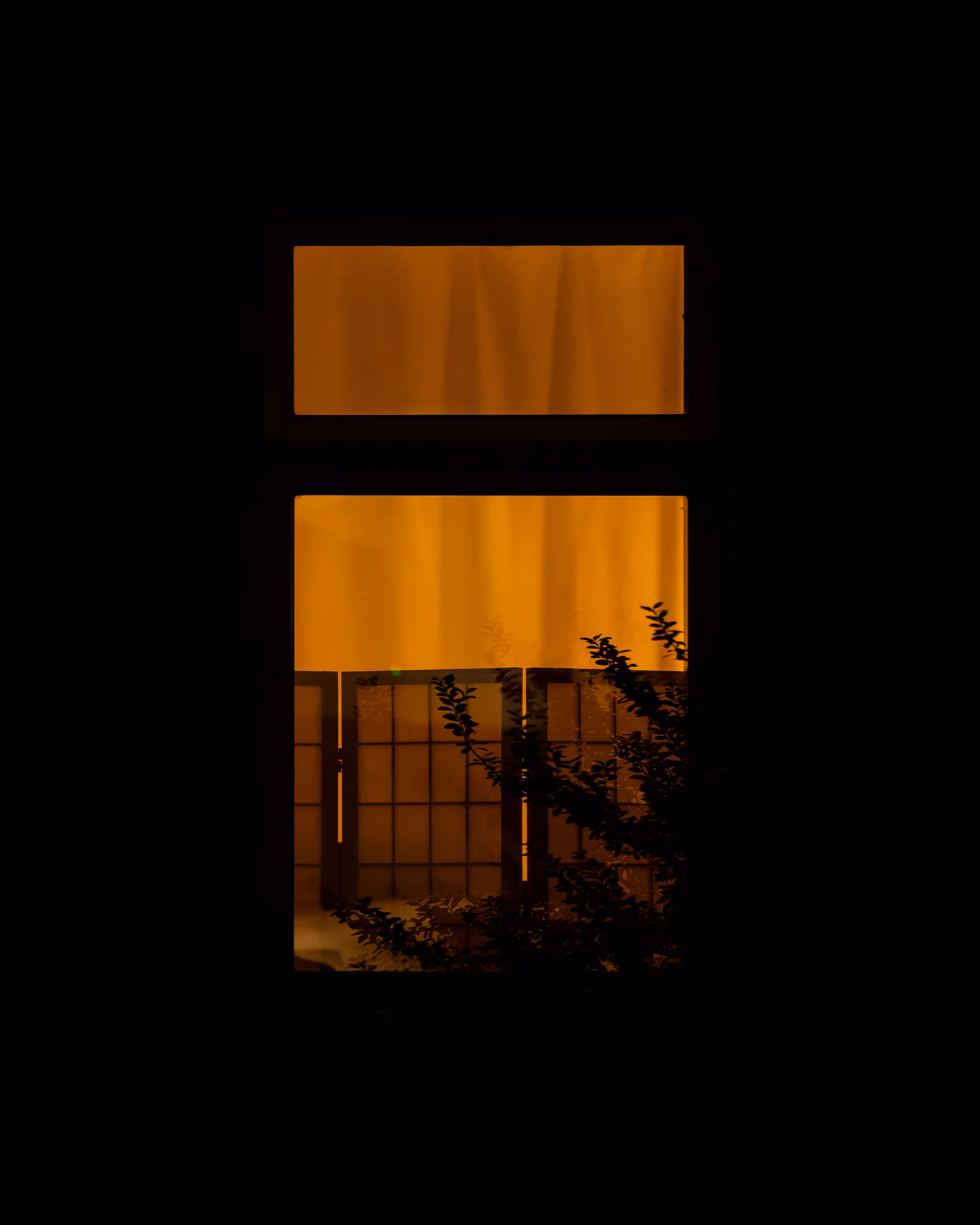 WINDOW 537