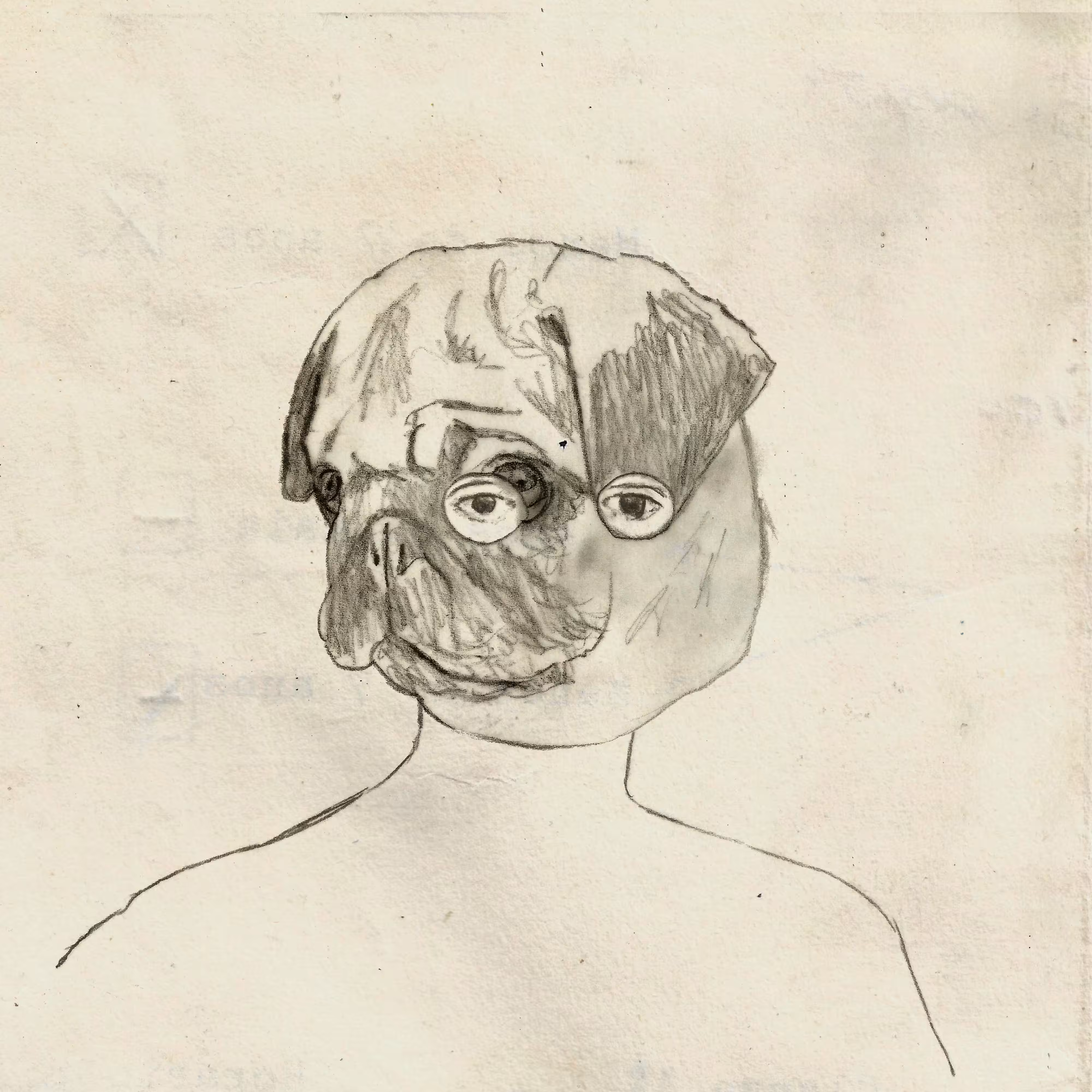 pug mask