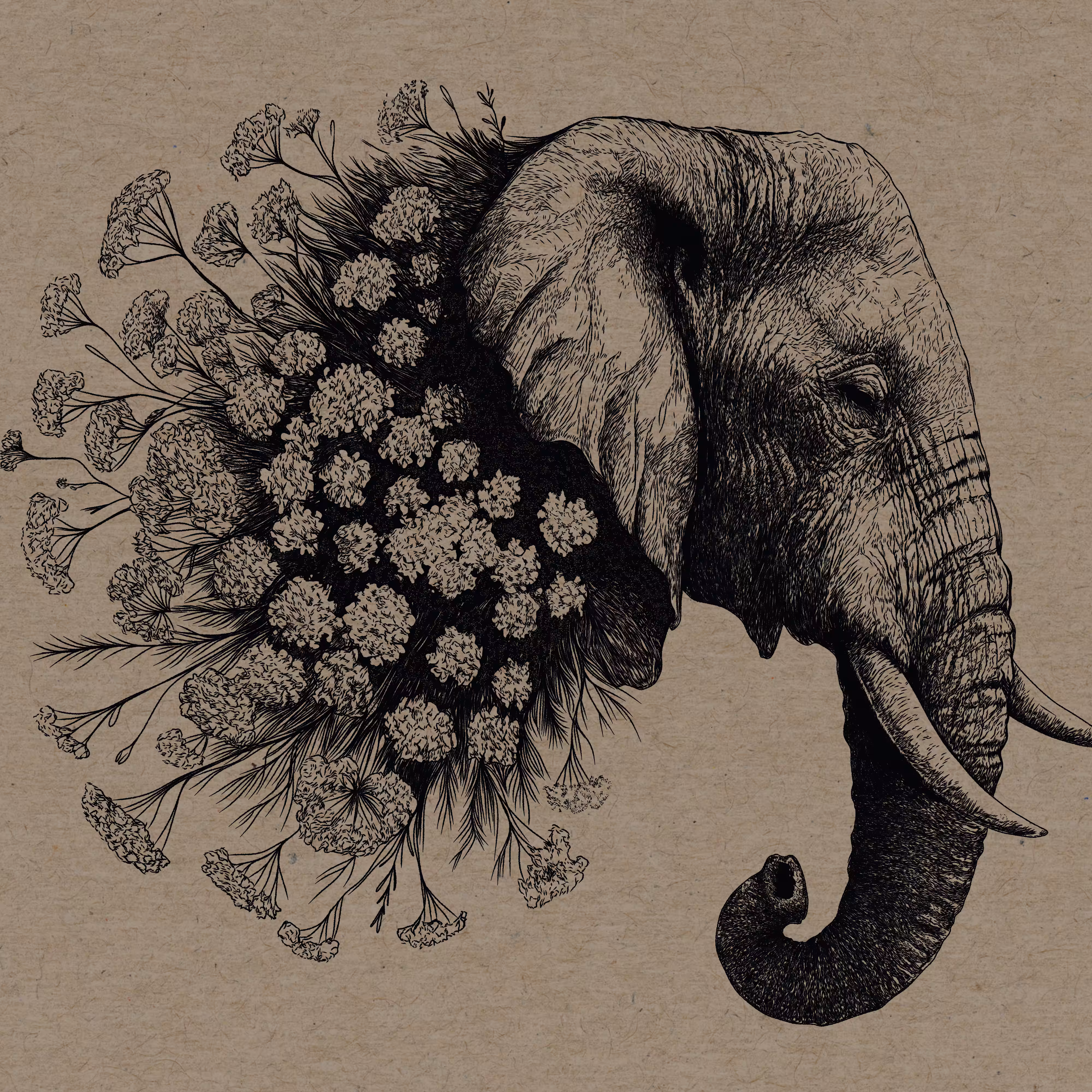 elephant gun