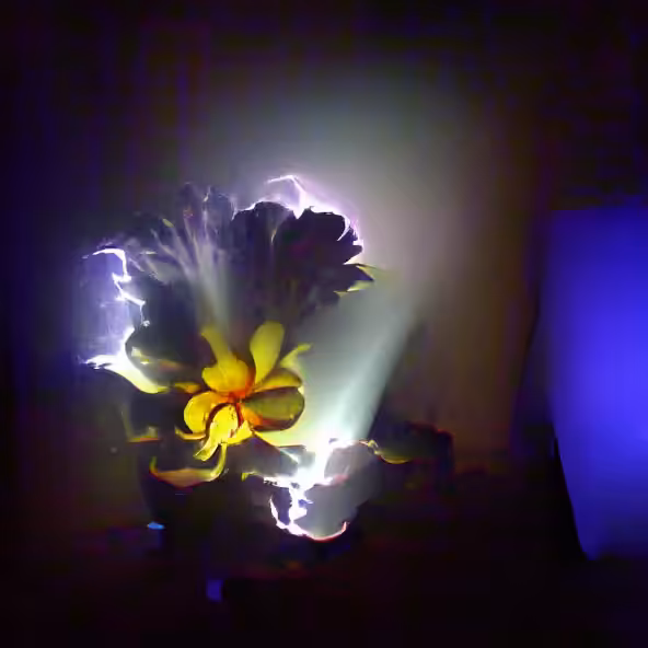 Lights and shadow