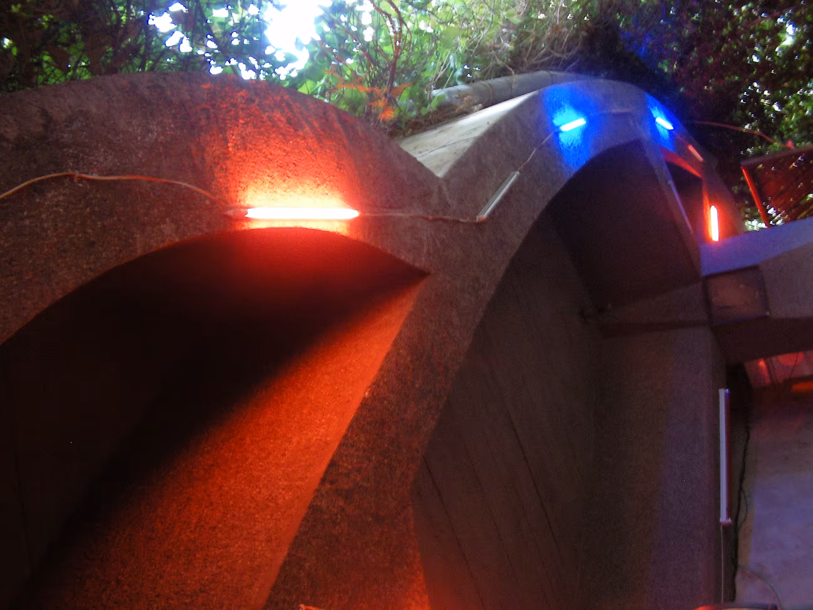 Neon & Concrete