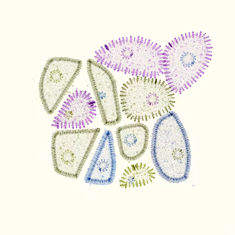 Organelles #2