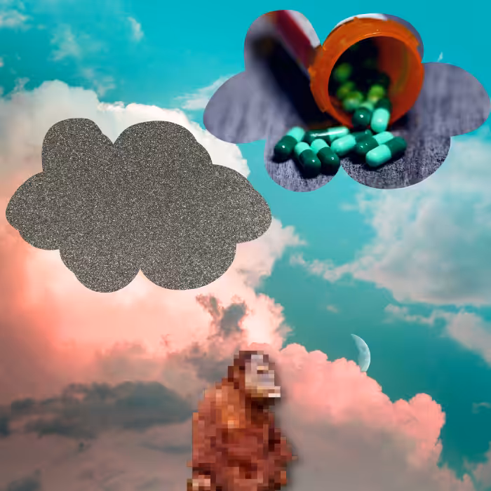 Anxious monkeys #8