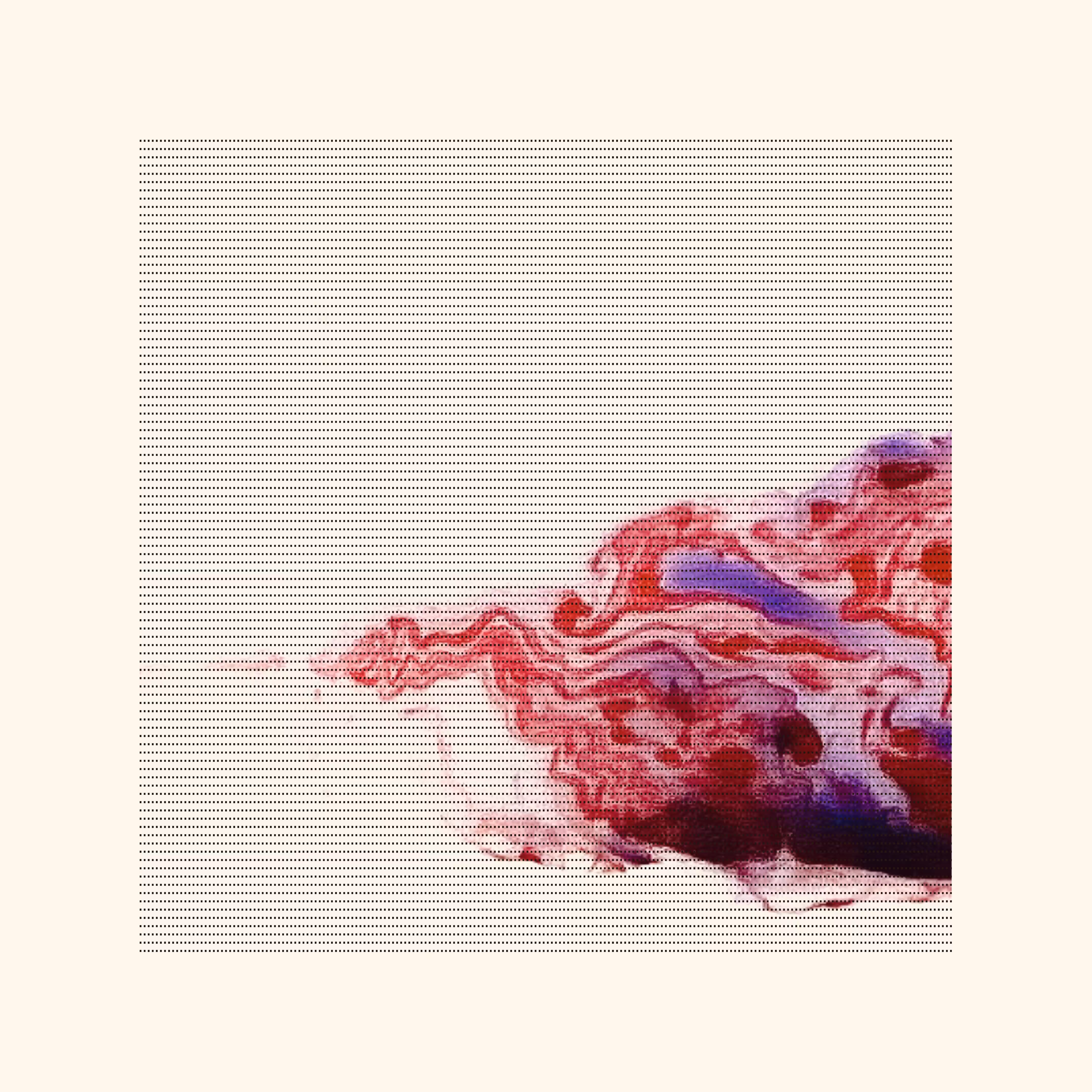 LT 007