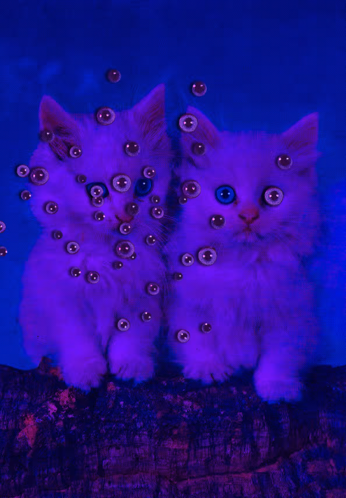 Cat's eye