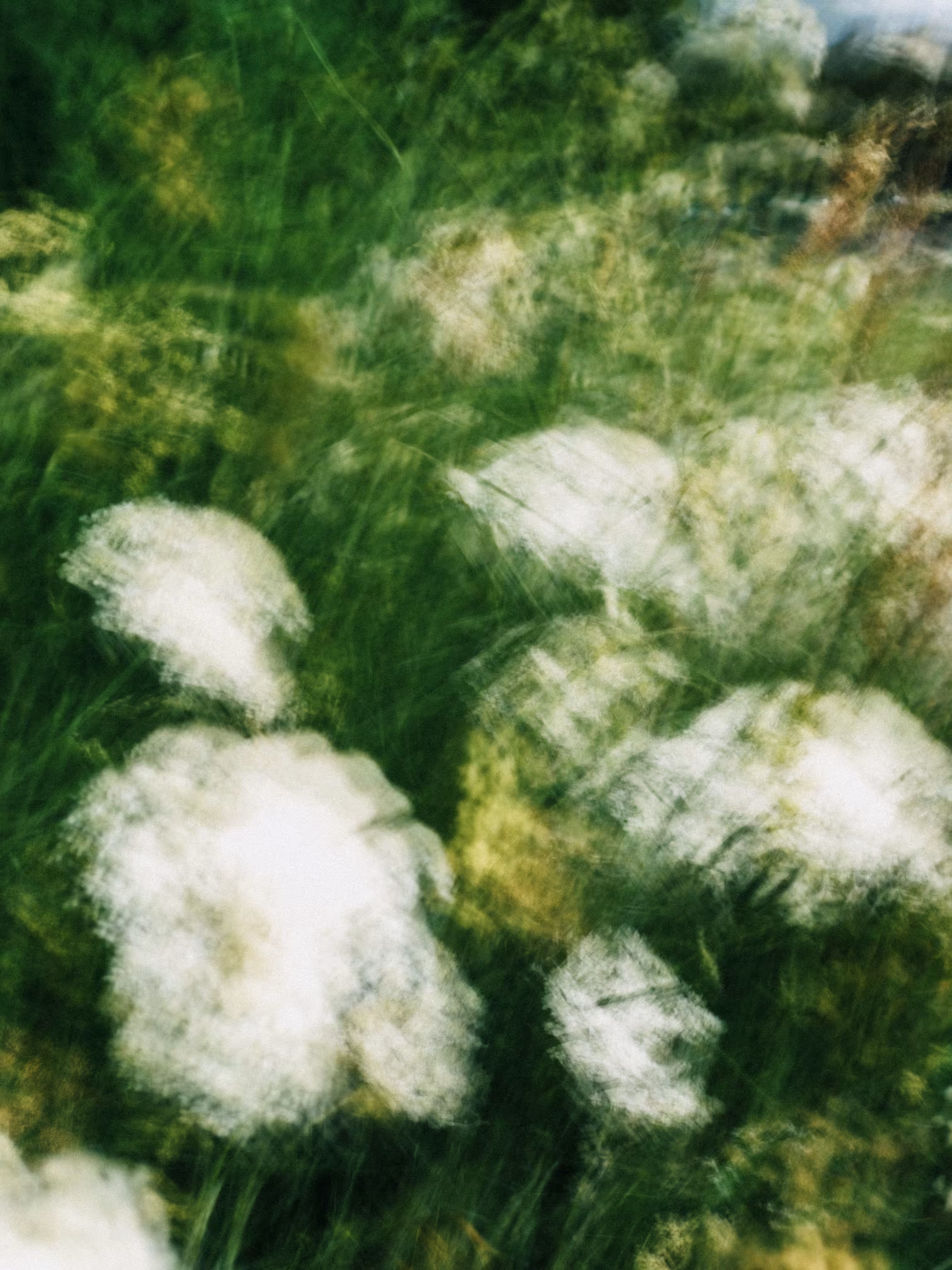 Hedgerow Figures