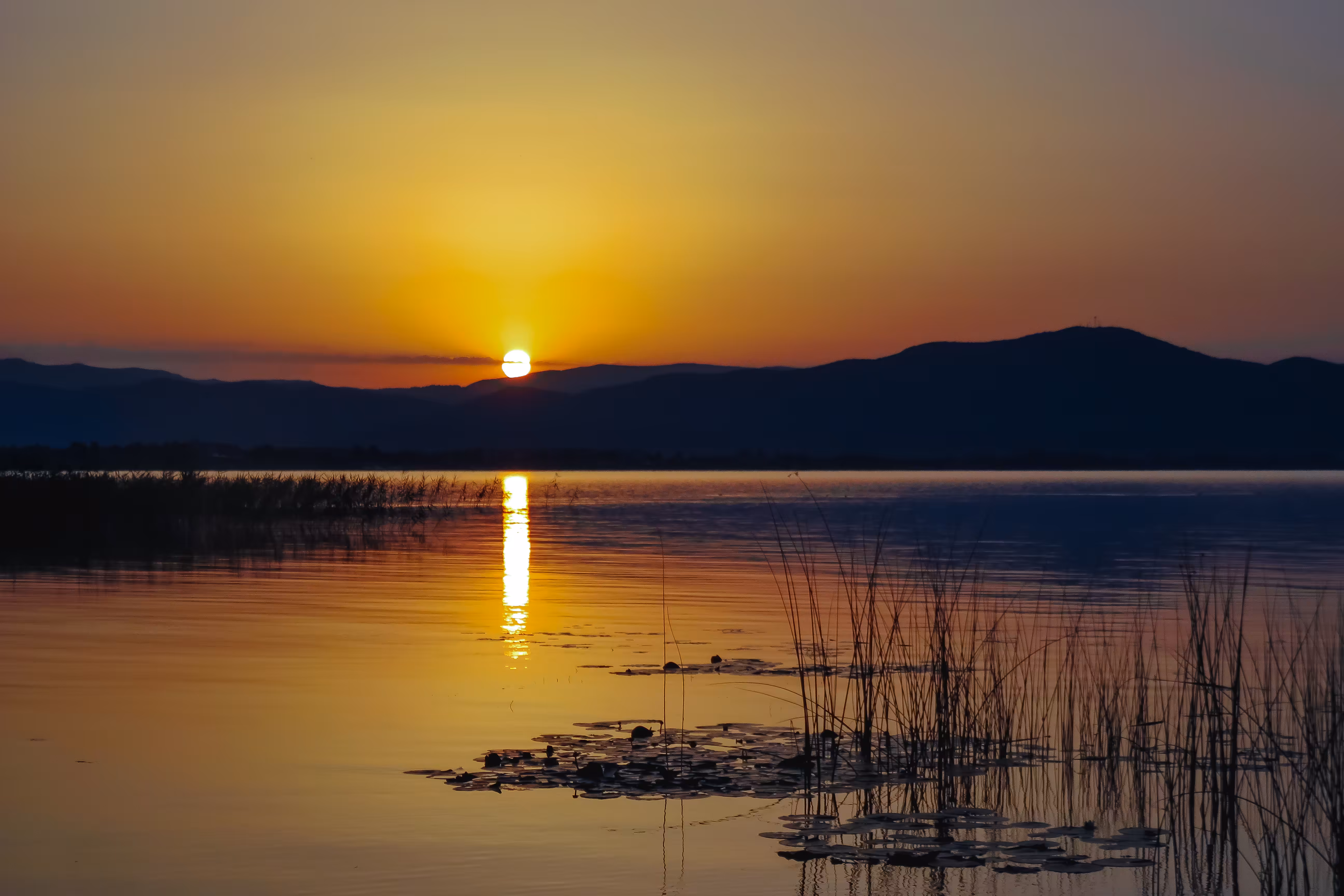 Solar reflections 001