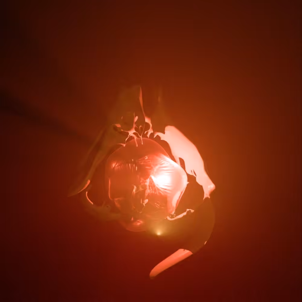 The Land's Womb (Part I)
