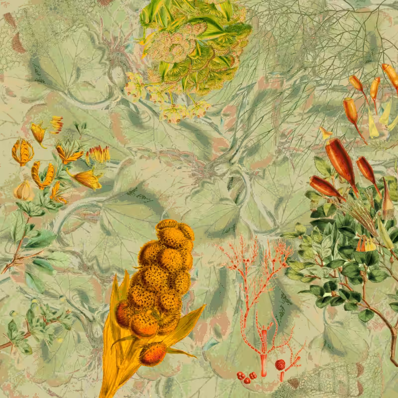future flora from Antarctica's past #55