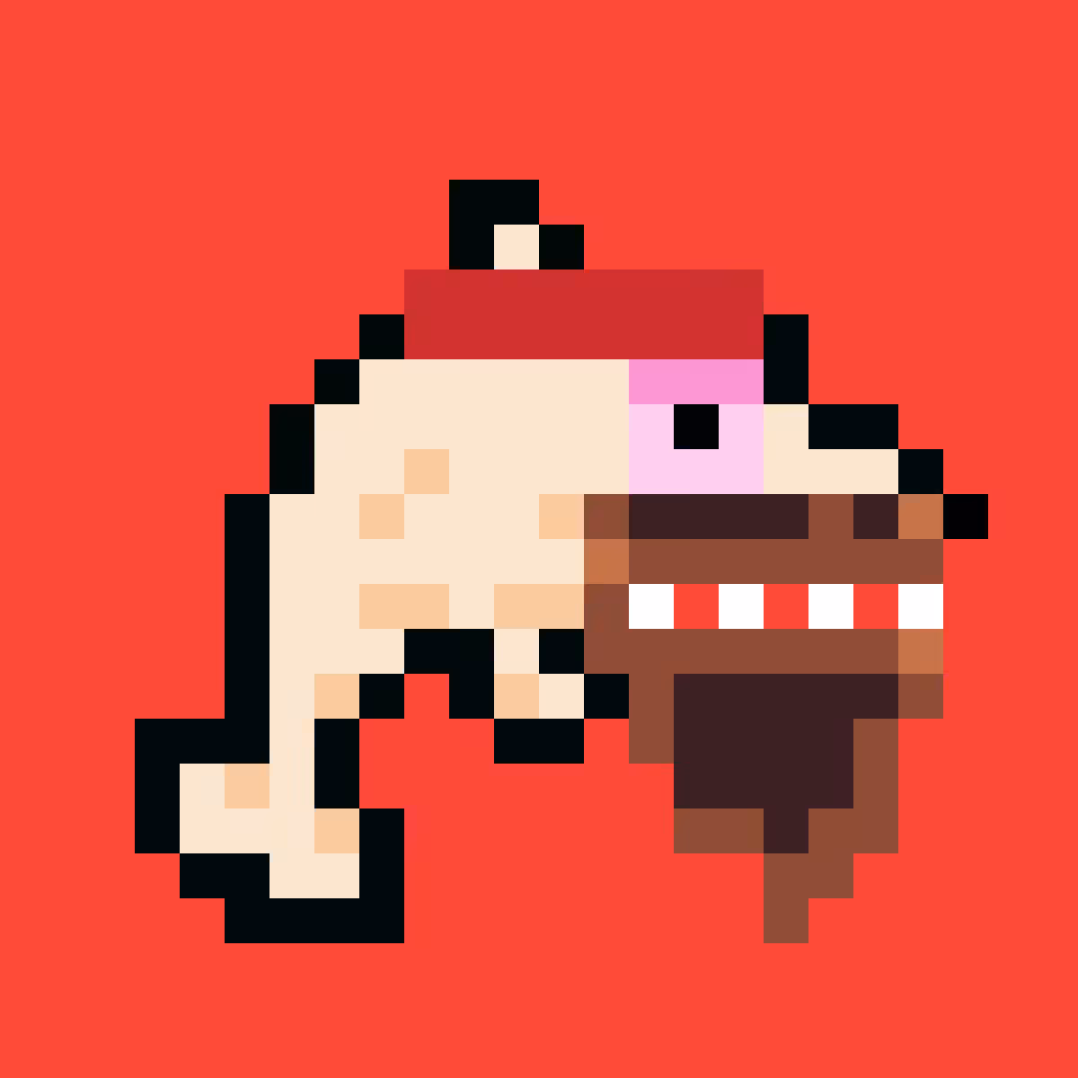 Laughin' Dolphin #041
