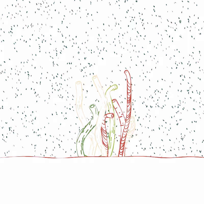 The Good Corals #9