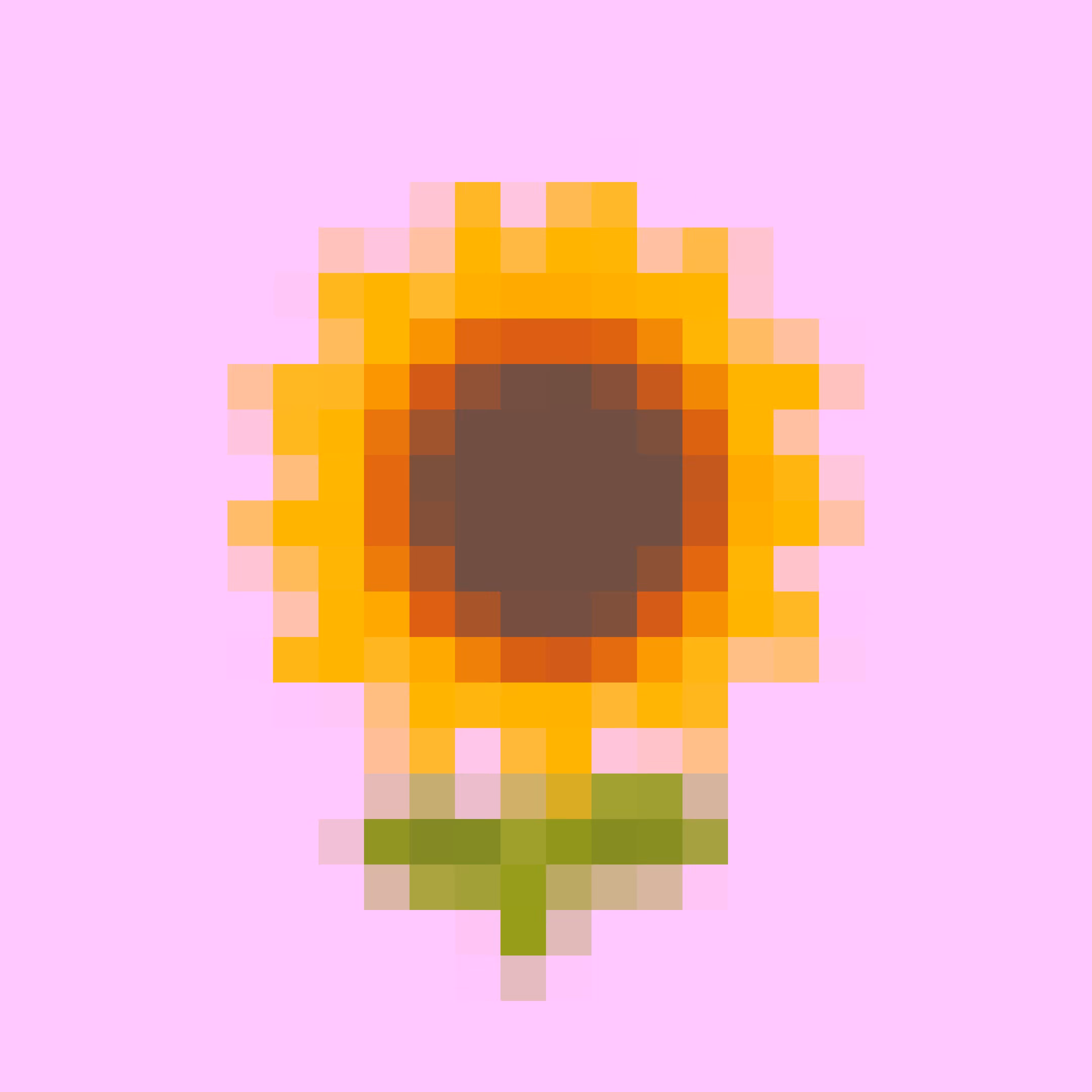 🌻