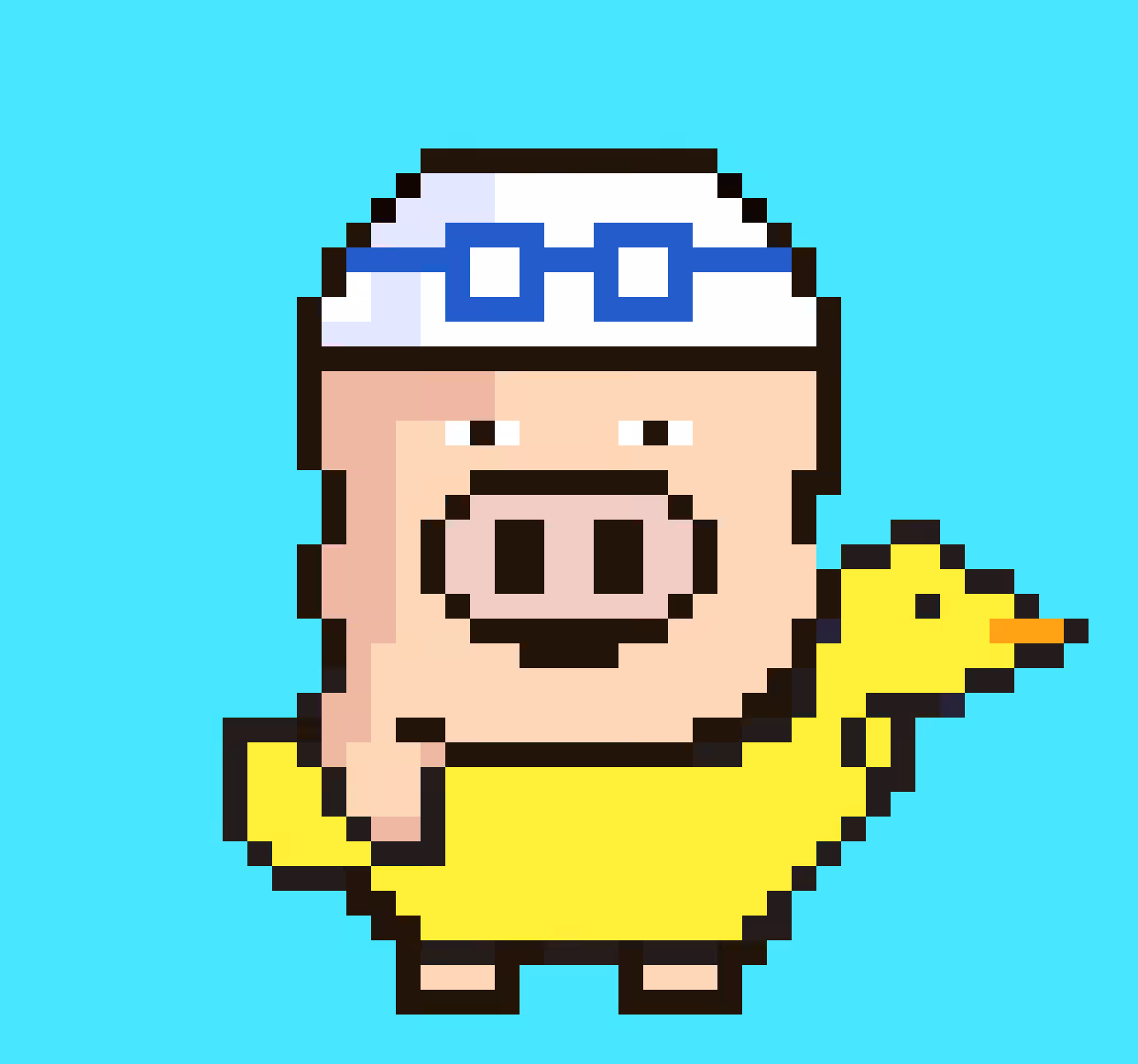 Mr Ham yellow duck