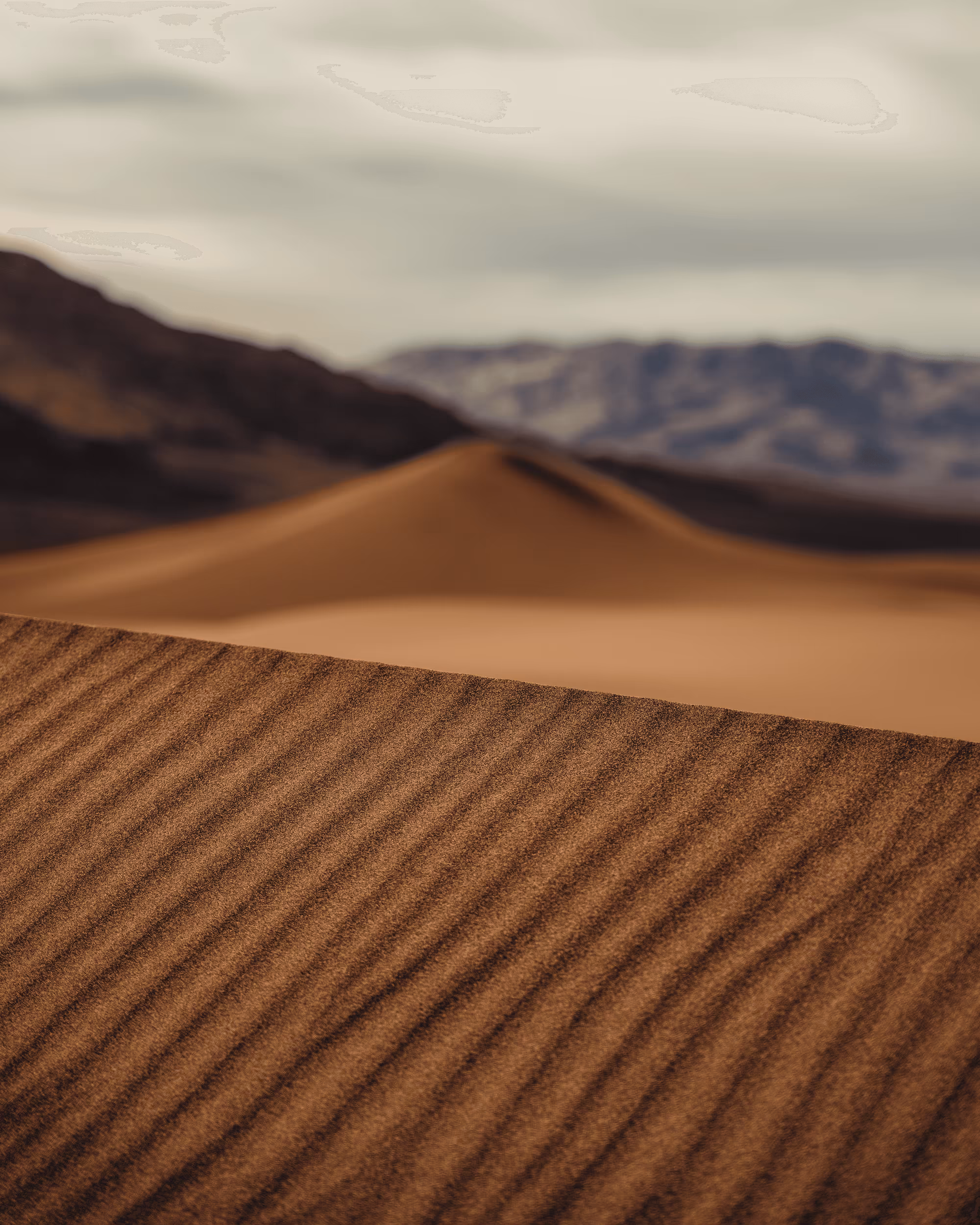 Dune: The Collection #24