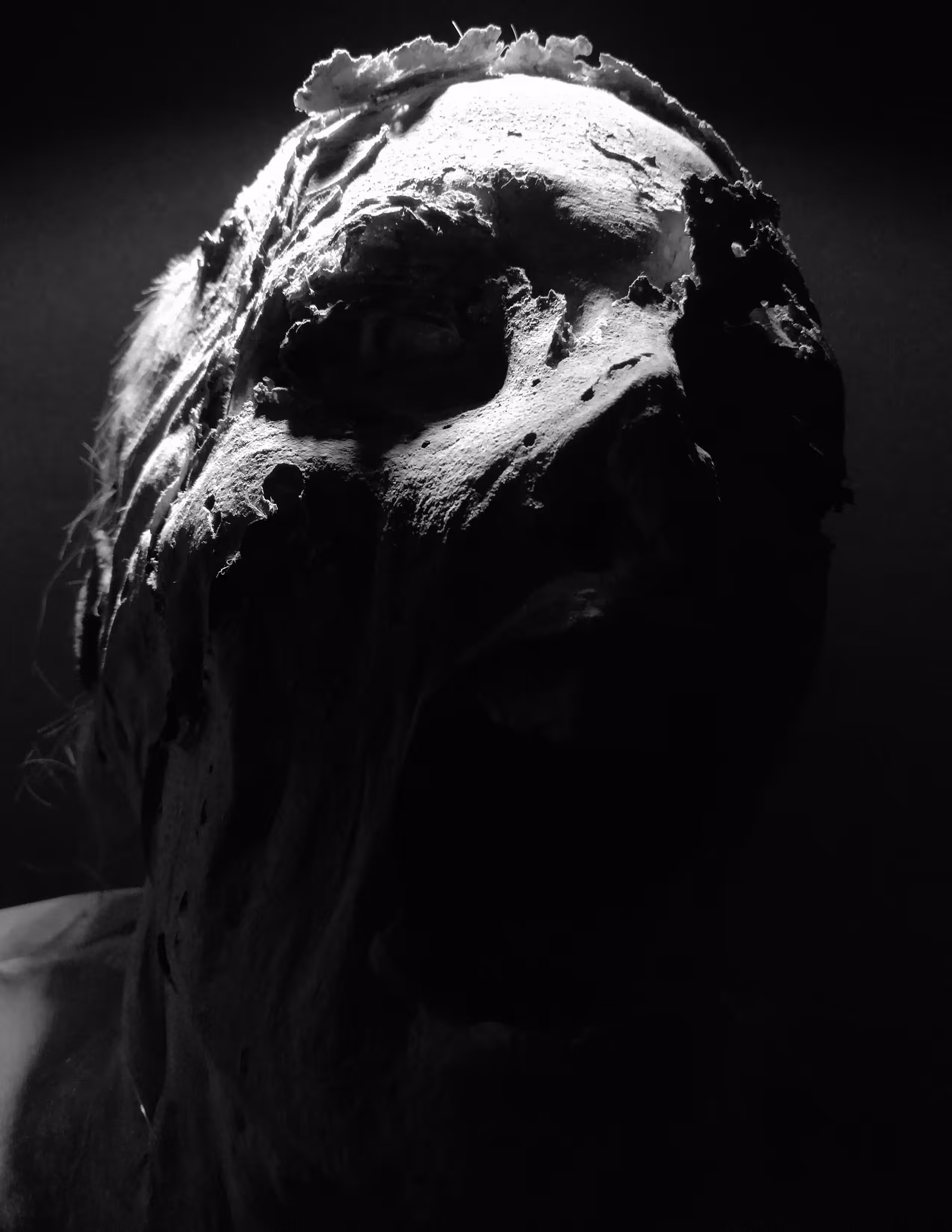 the beast | la bete | la bestia