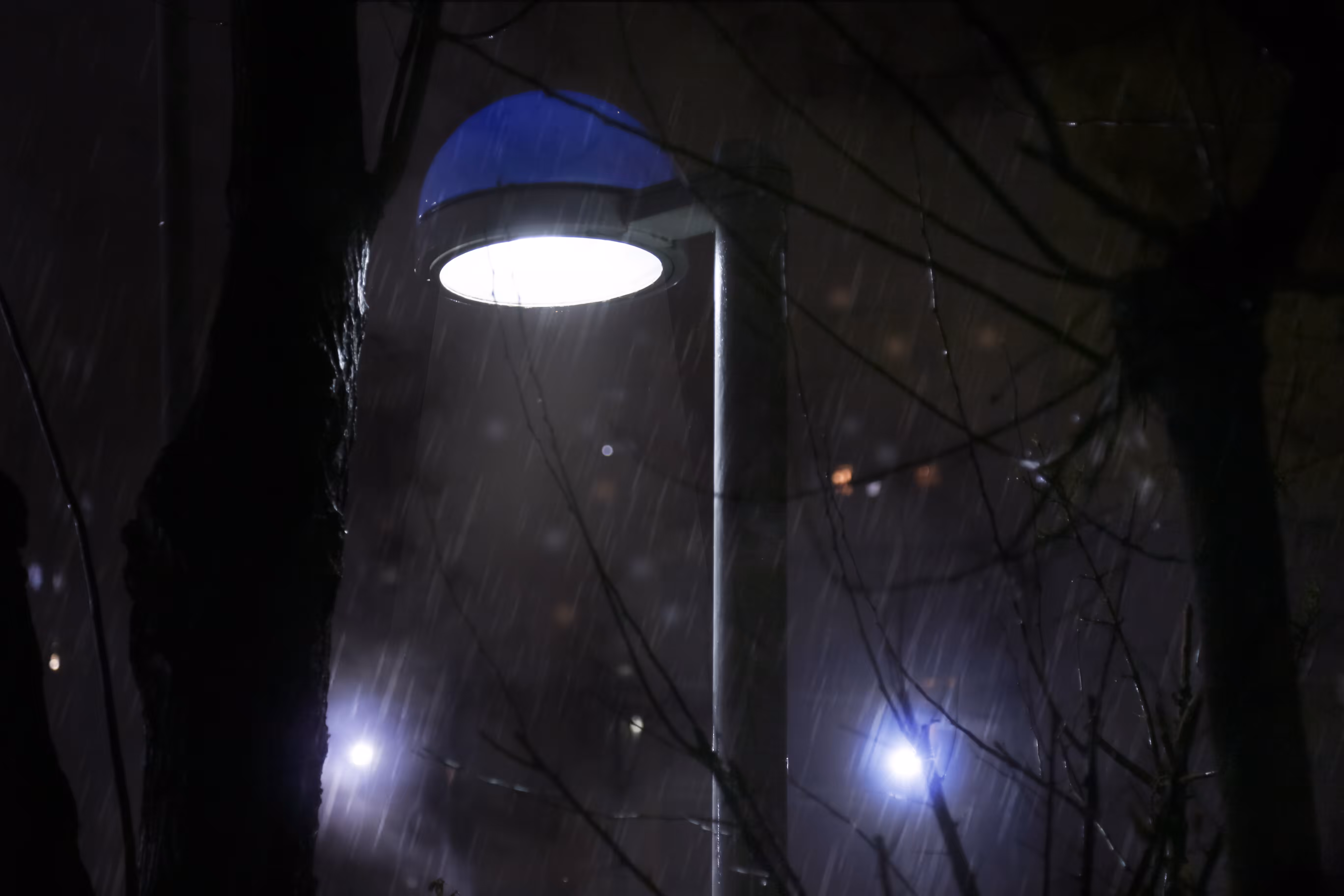 Rainy nights
