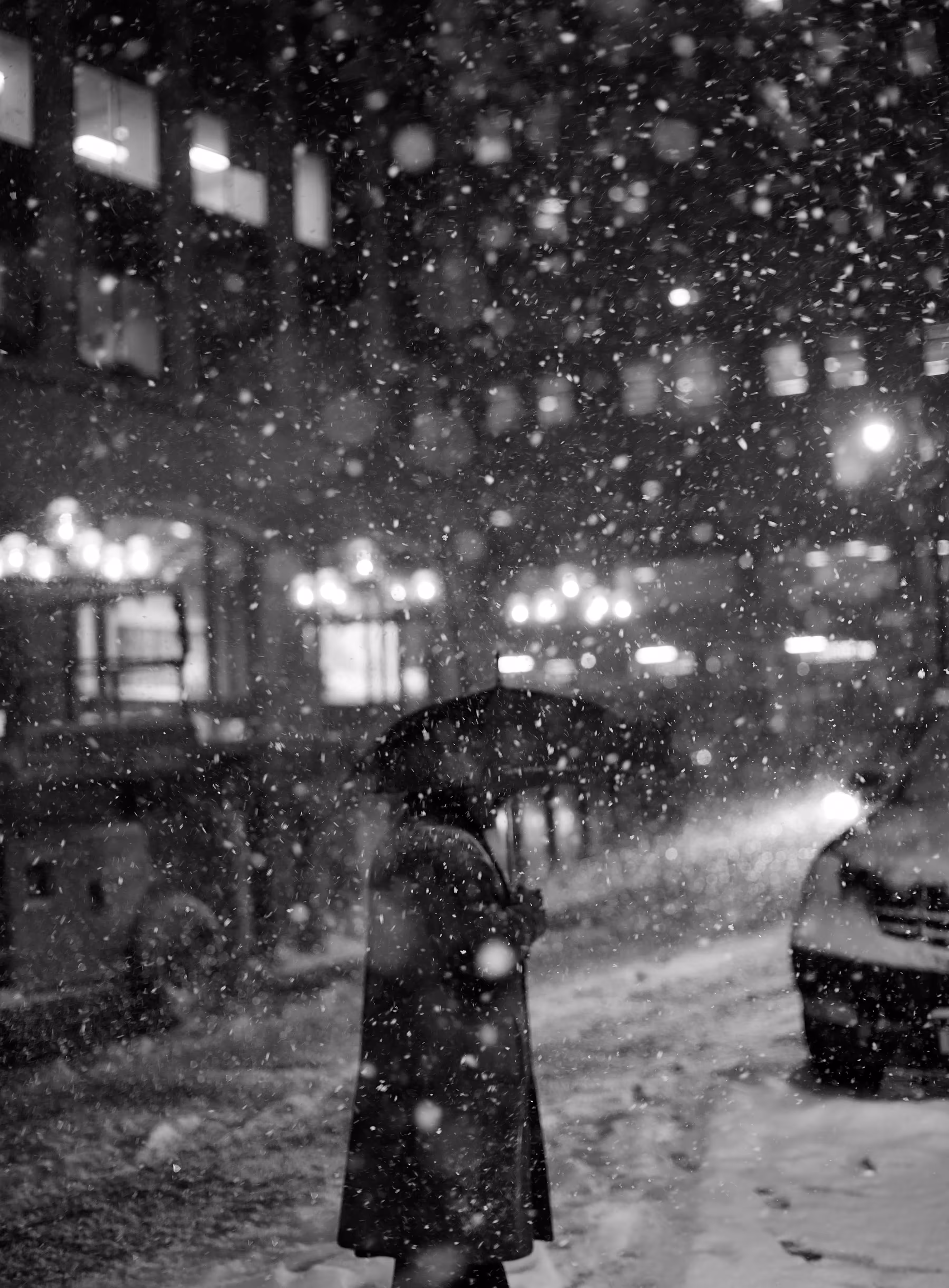 NYC SNOW #11
