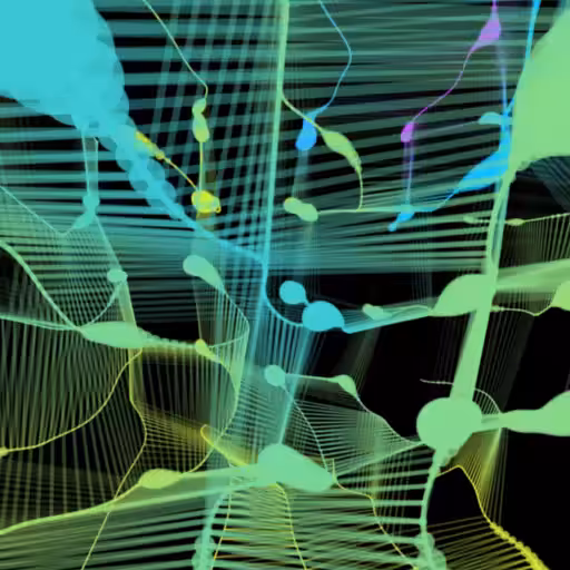 STEROHOPPER_Grid_17