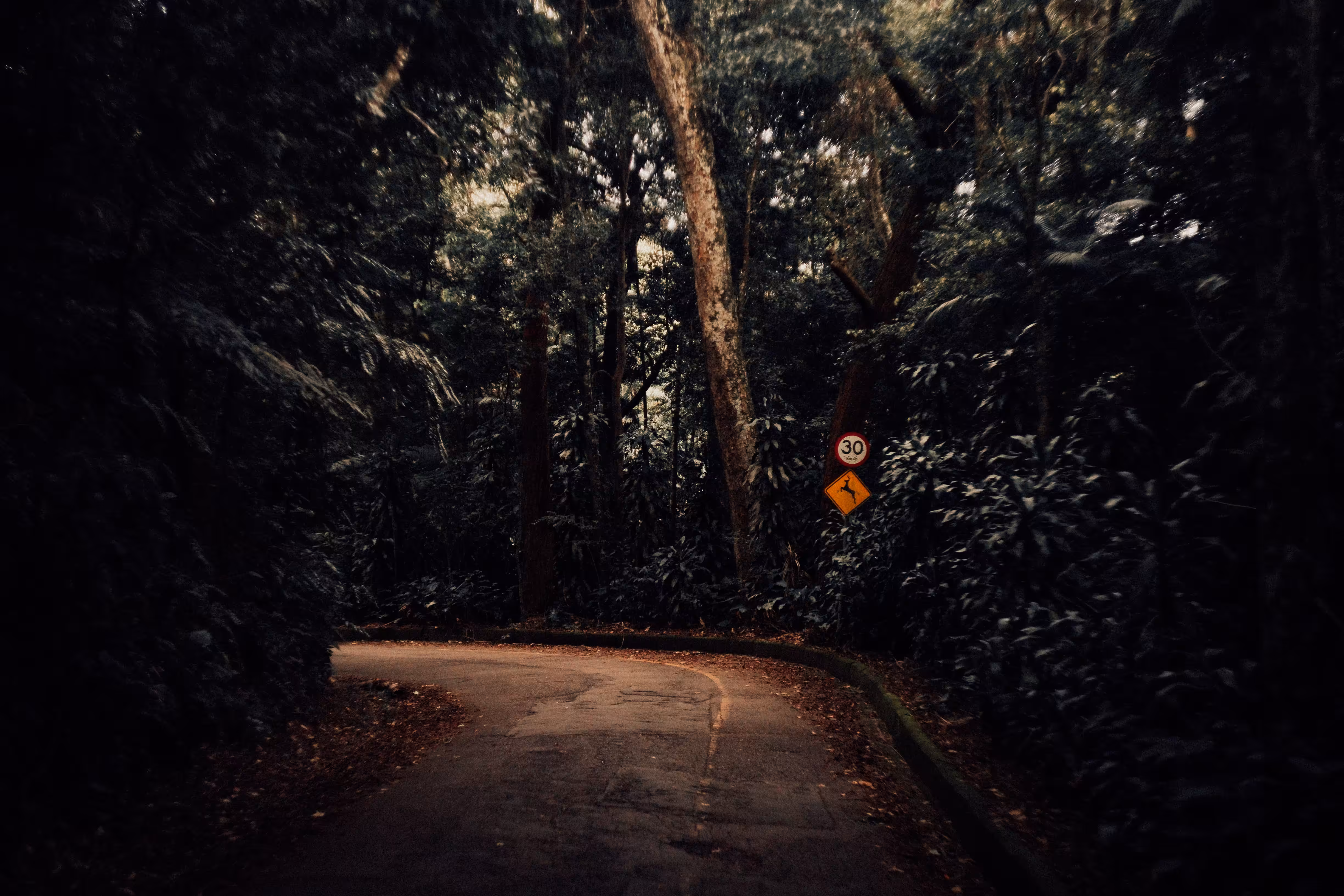 What lies ahead?