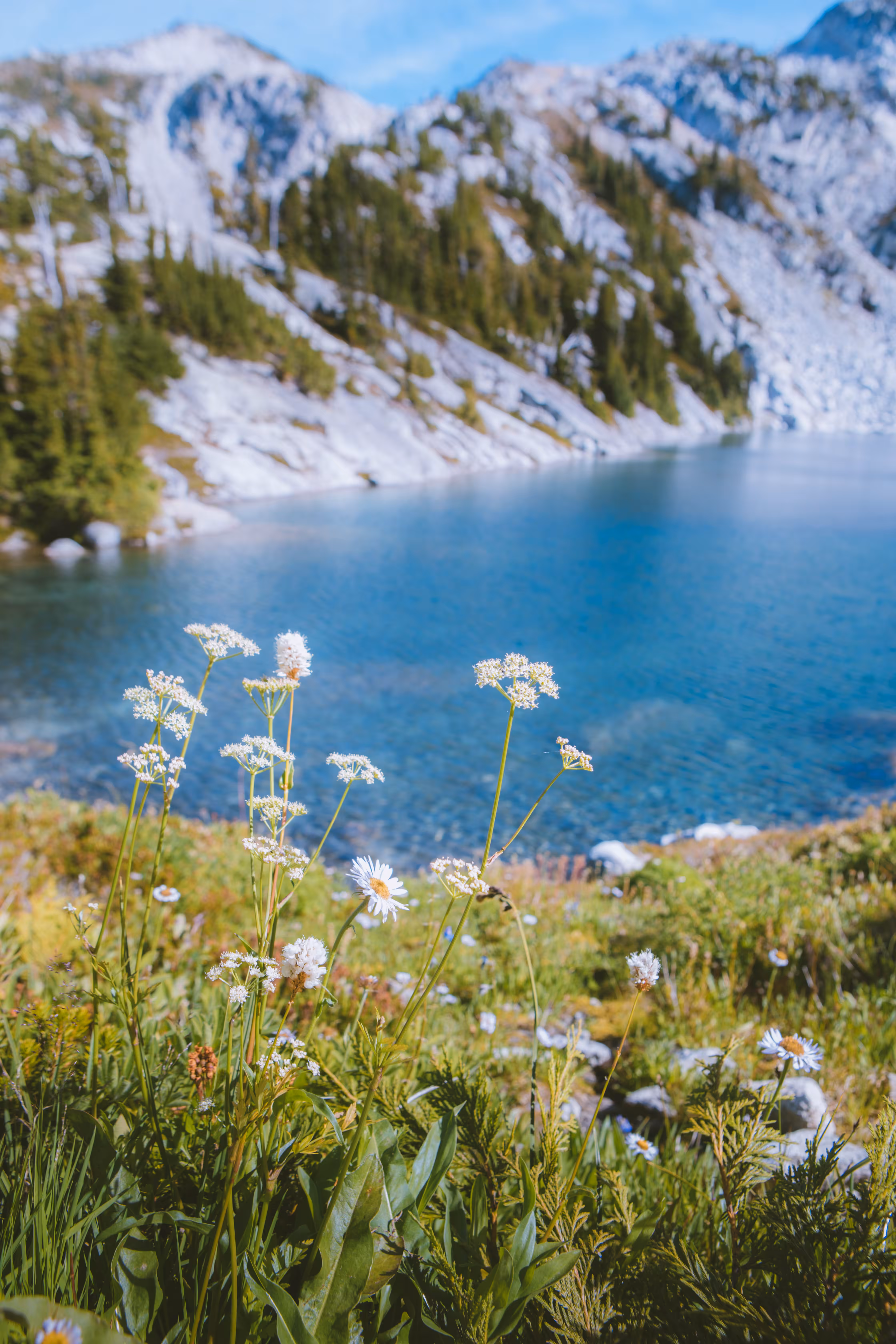 Summers in the Alpine 6