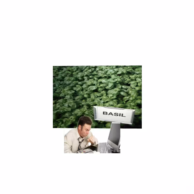 ART BASIL 2022 #36