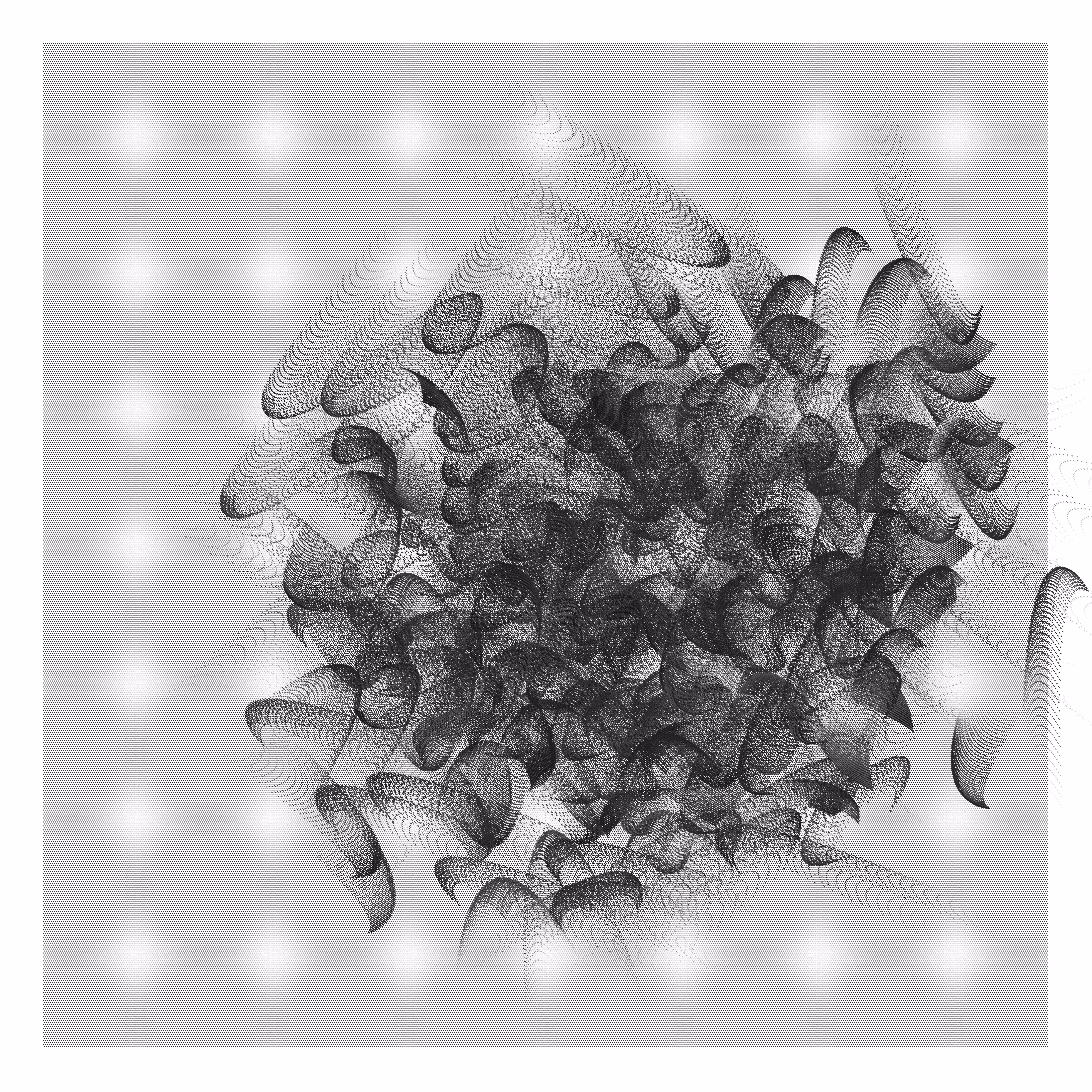 Rodeo post #284: p5 Mesh Painting 05 01 25 G404