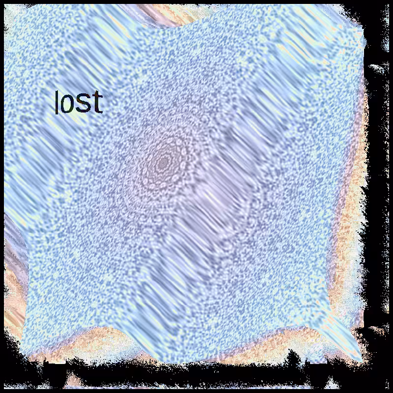 lost #8