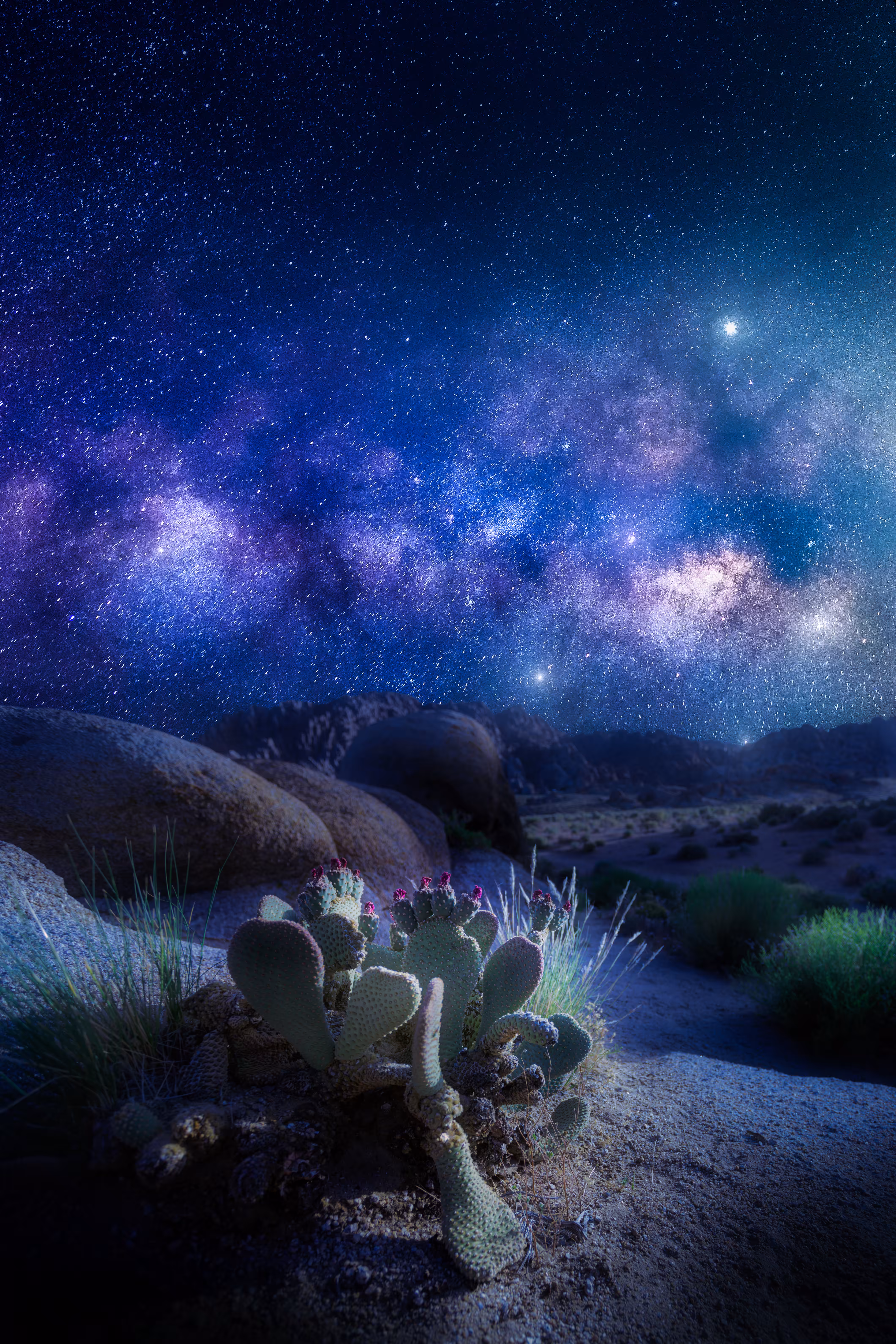 Starseed (Dreamscapes Series #1)