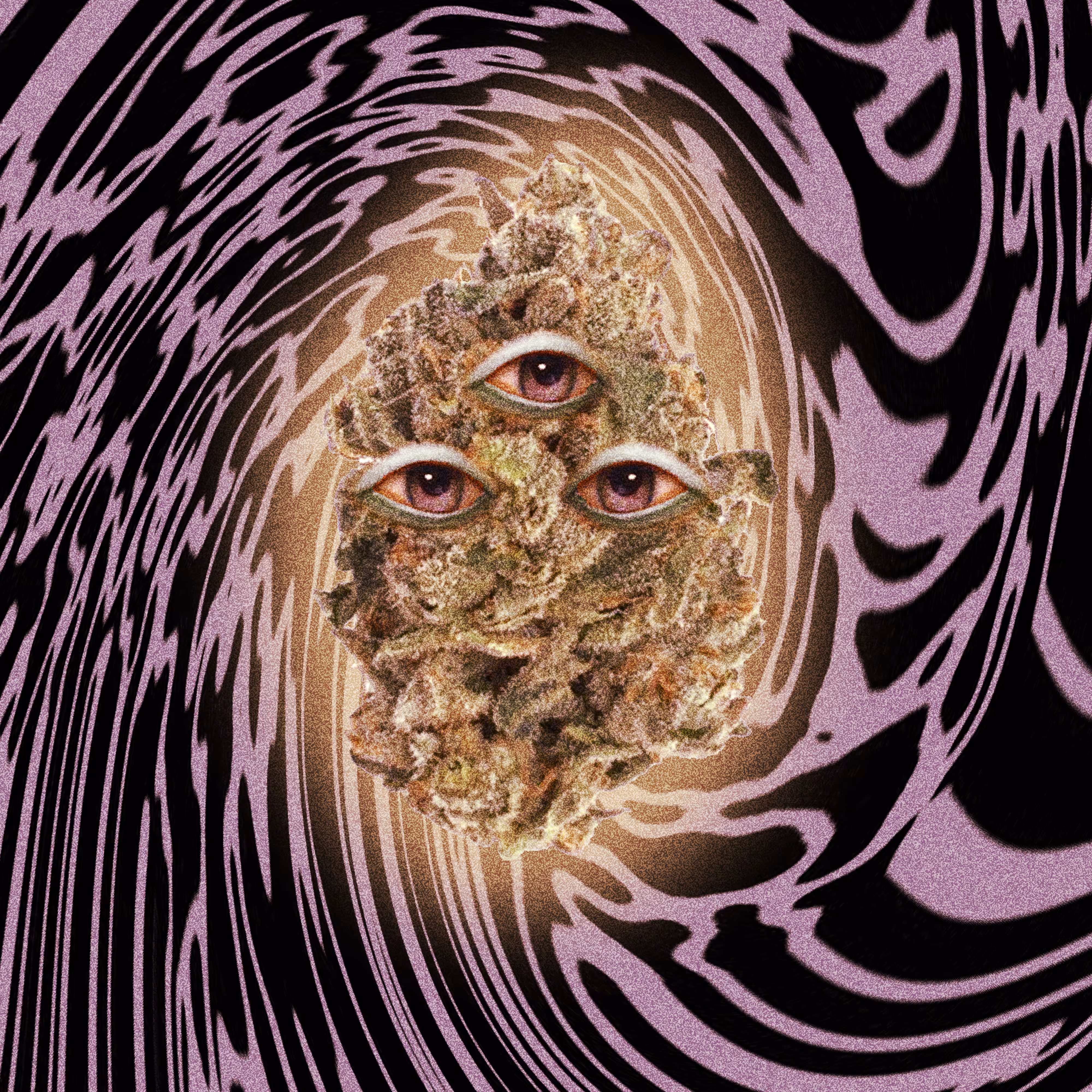 THE GREAT NUG
