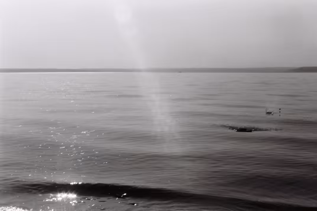 Ephemeral replica