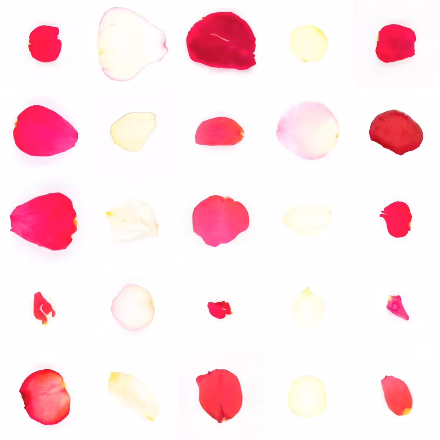 Infinite Petals 5x5#20756