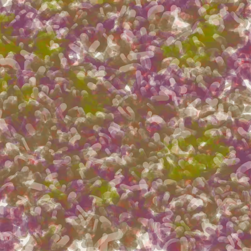 Petri 1500 #1063