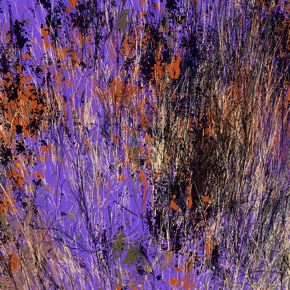 Infinite Garden: 57629 Flowers
