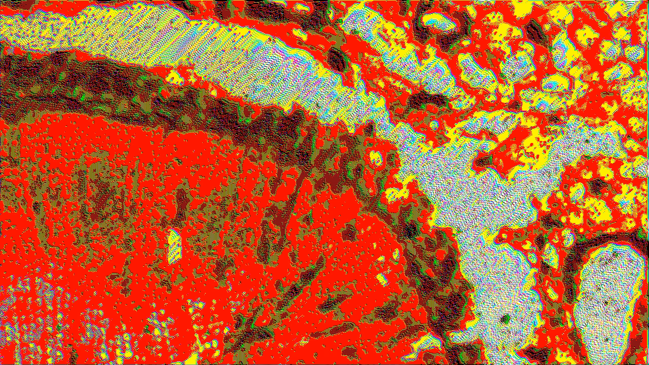 frame_05-Pine Mature Wood