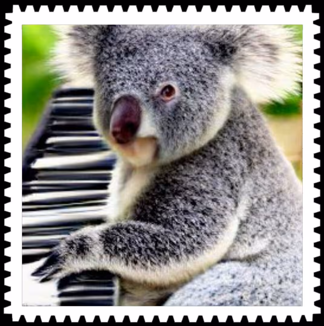 Koala playing piano