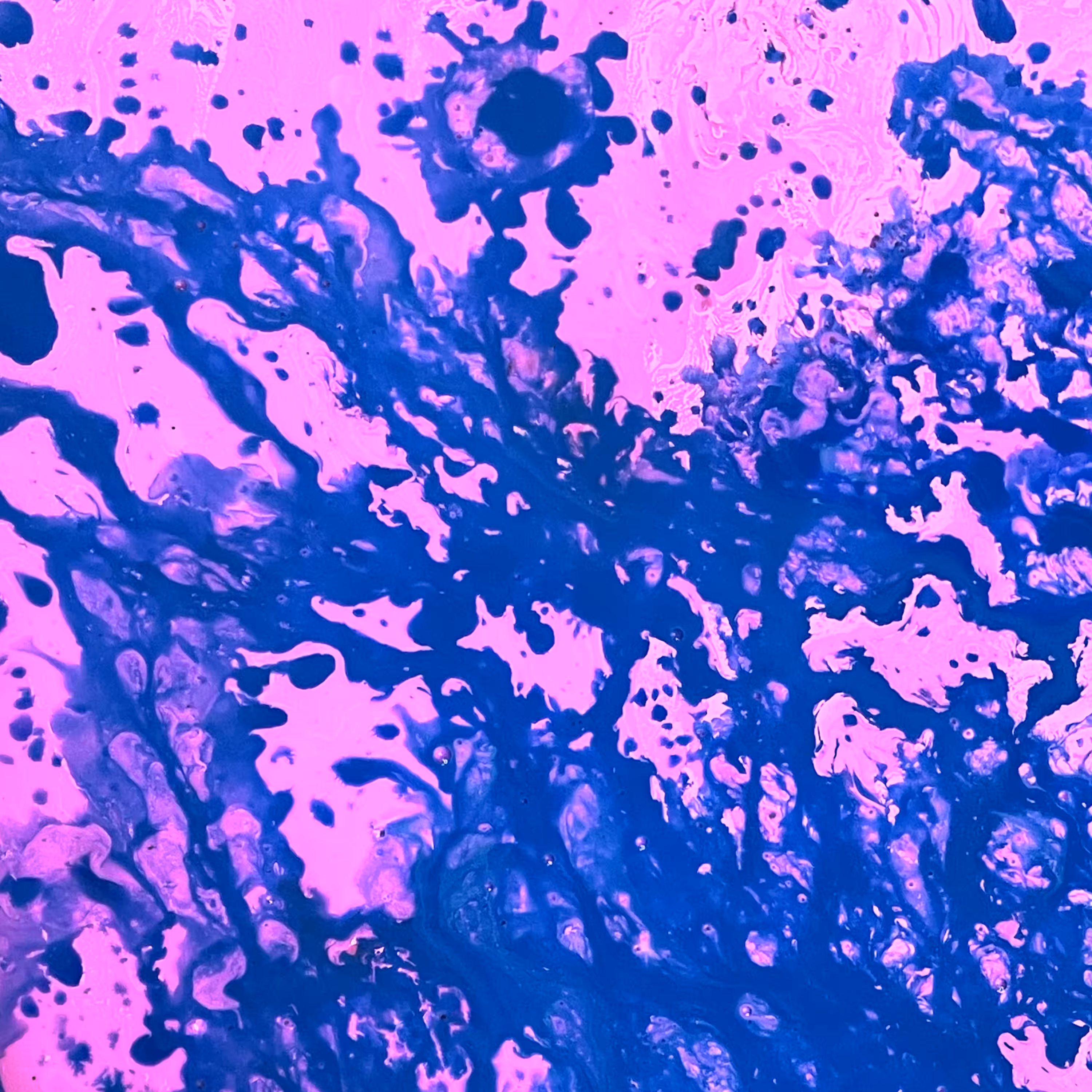 Follower 38