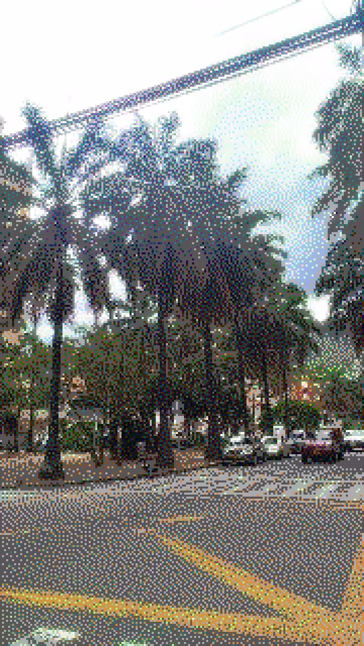 afuera XV