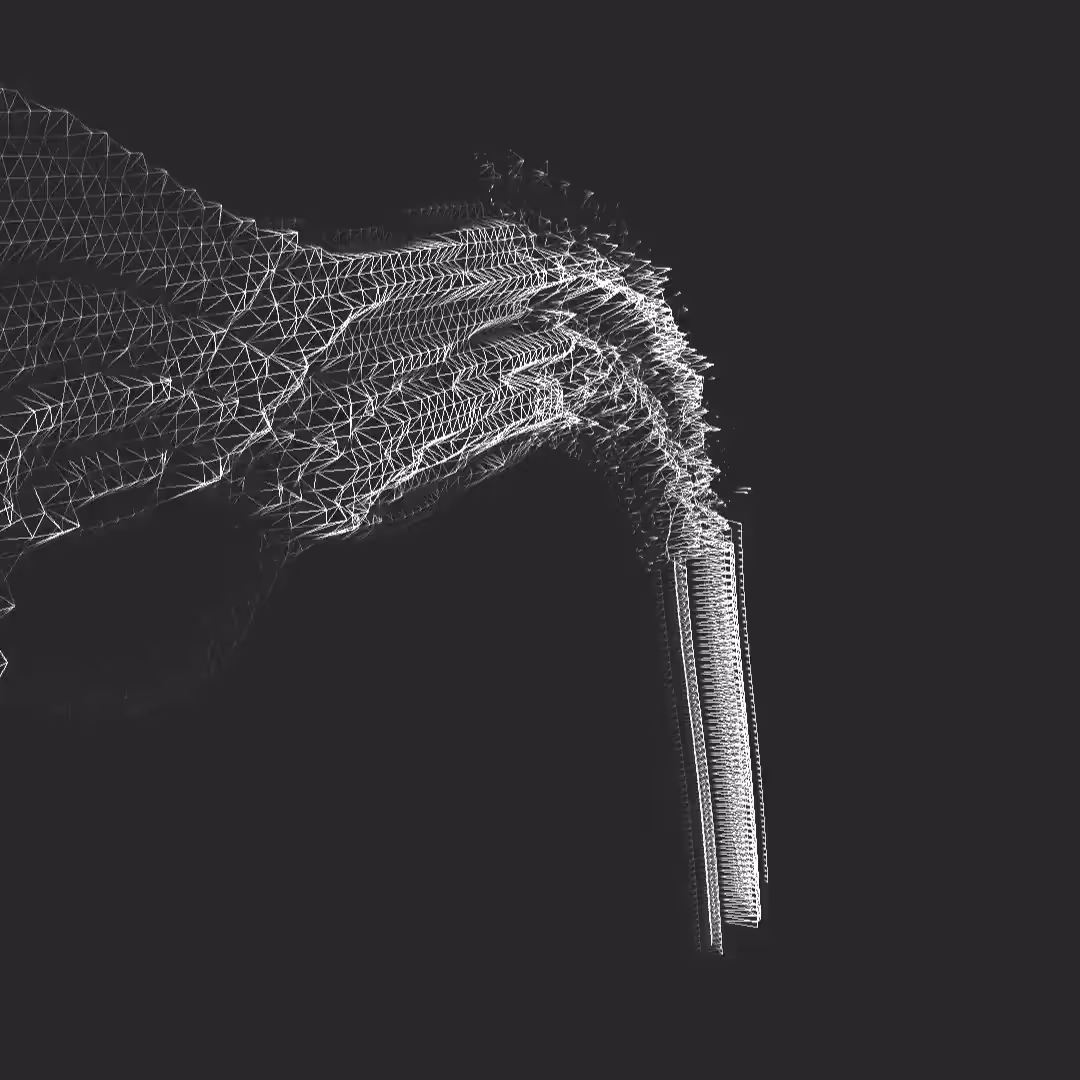 Xray wireframe-L
