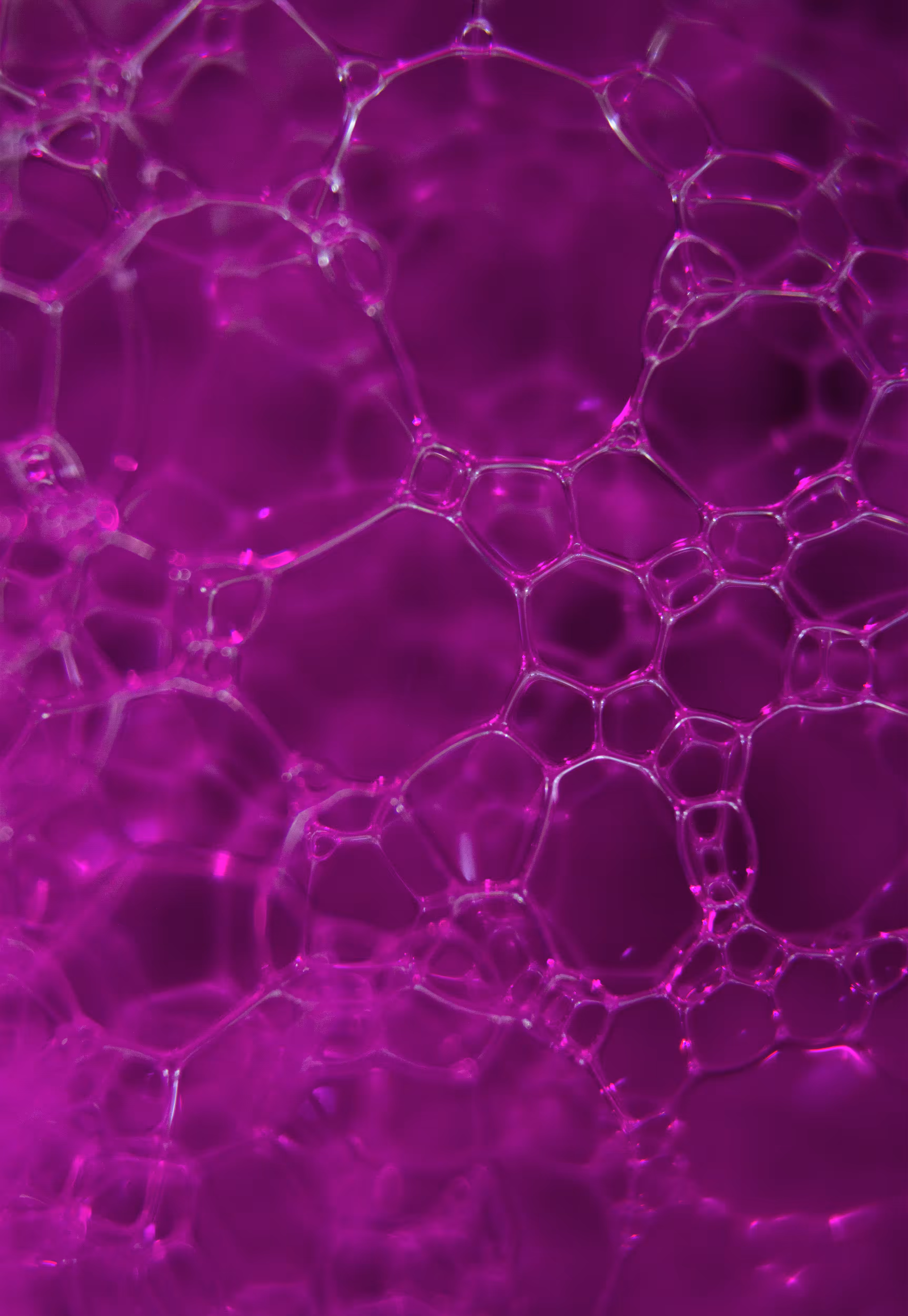 Abstract World of Soap Bubbles: #135 Bubbles