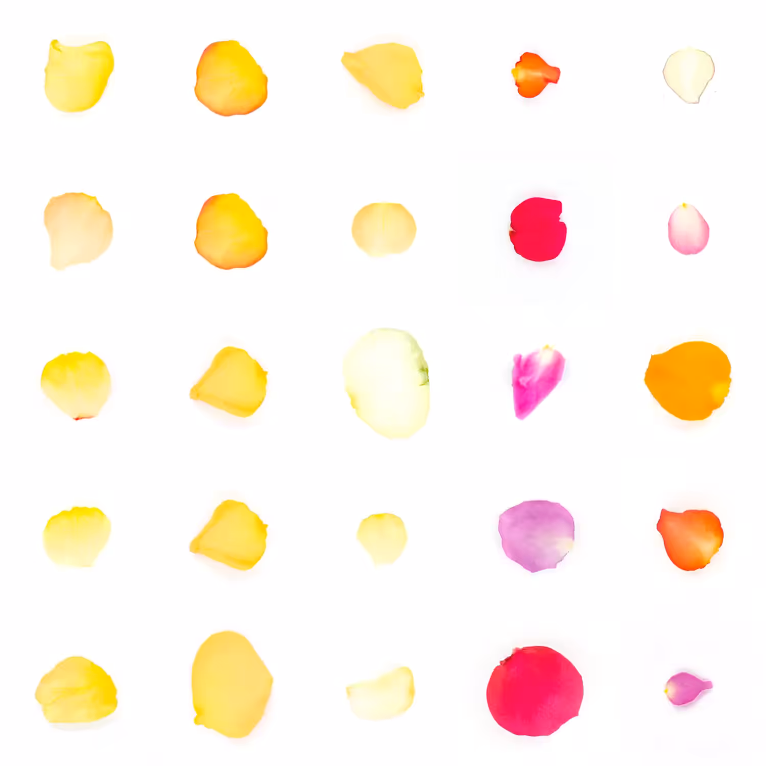 Infinite Petals 5x5#358