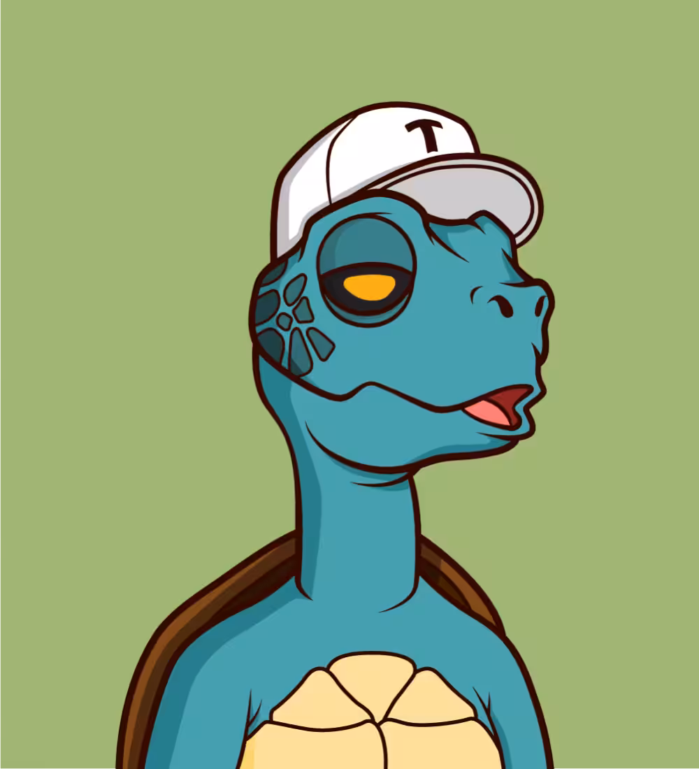 Tiny Turtle 87