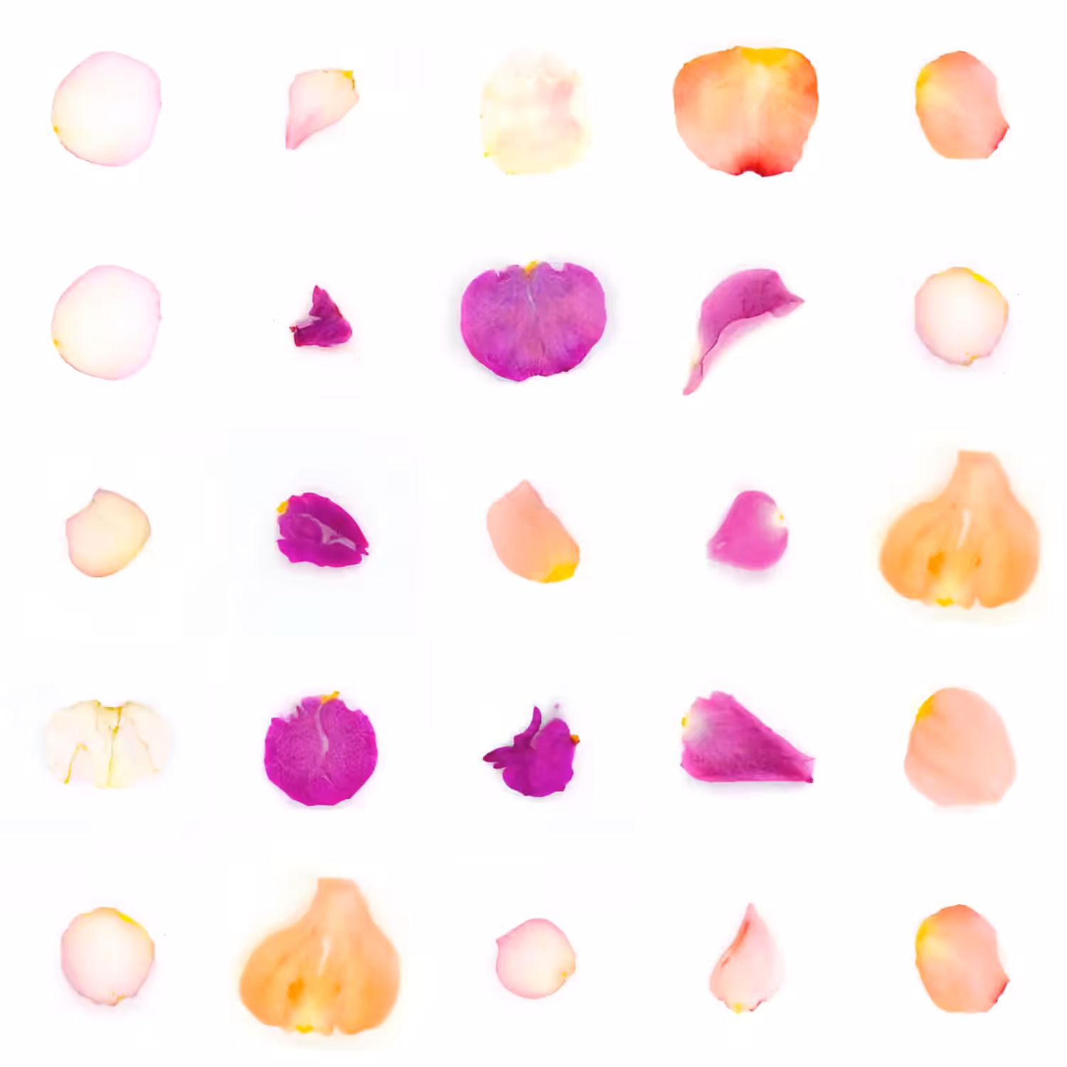 Infinite Petals 5x5#2849