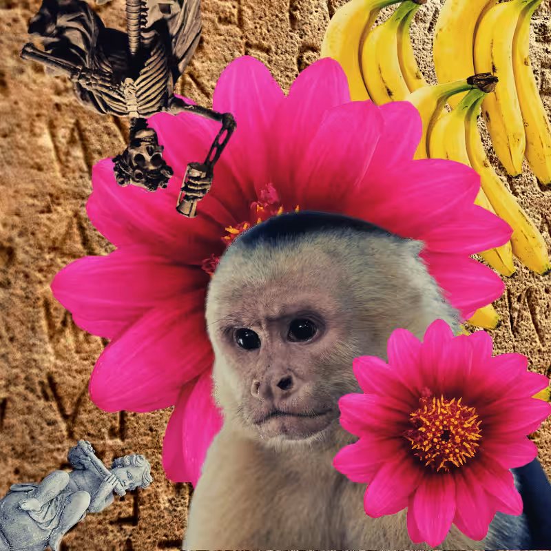 Banana flower #6