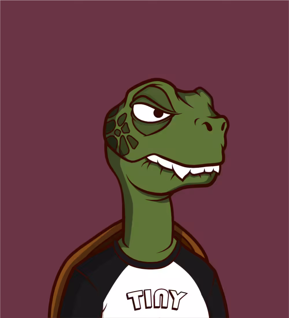 Tiny Turtle 169