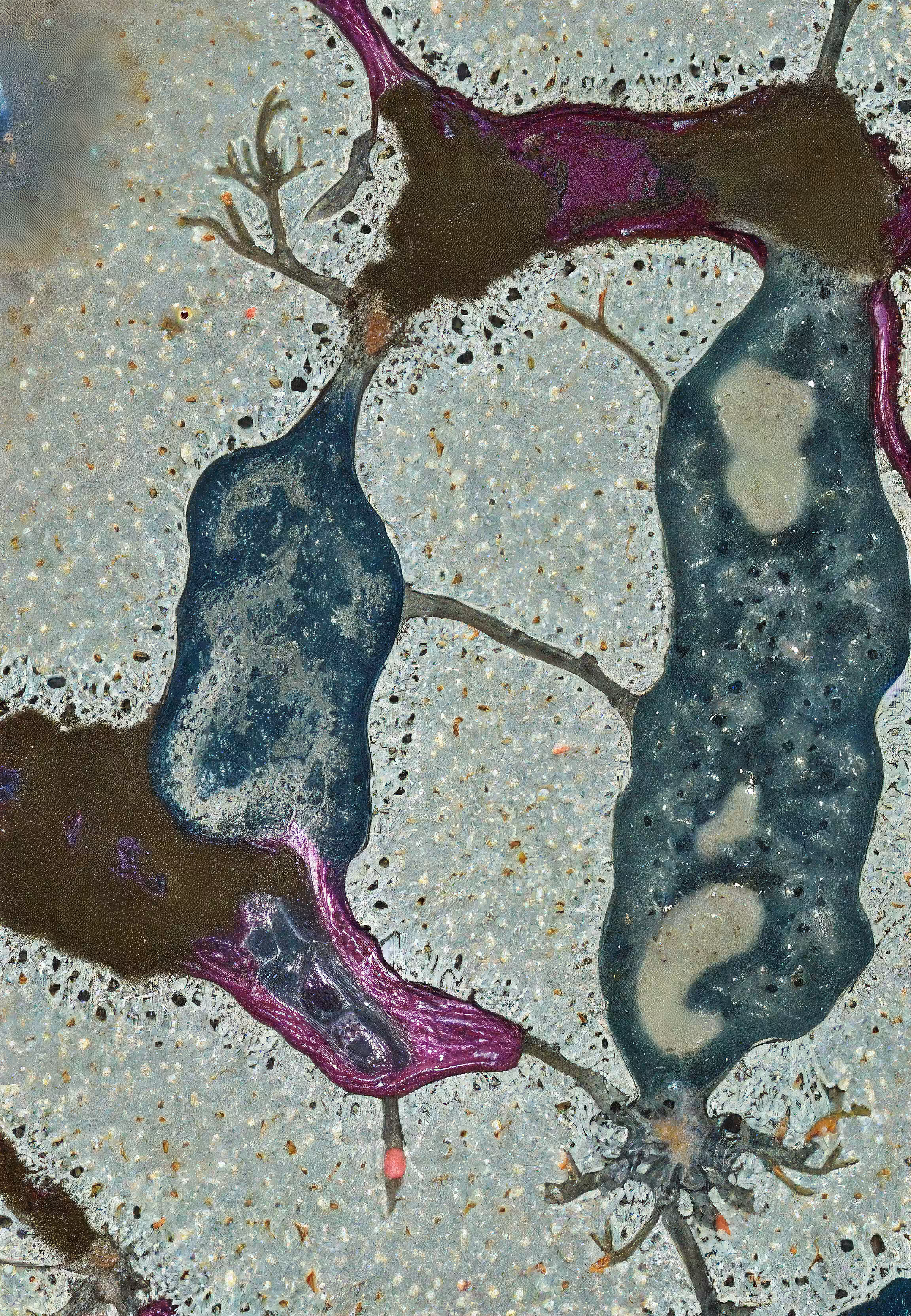 Histologia In Silico #215