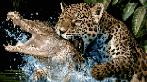 wild nature