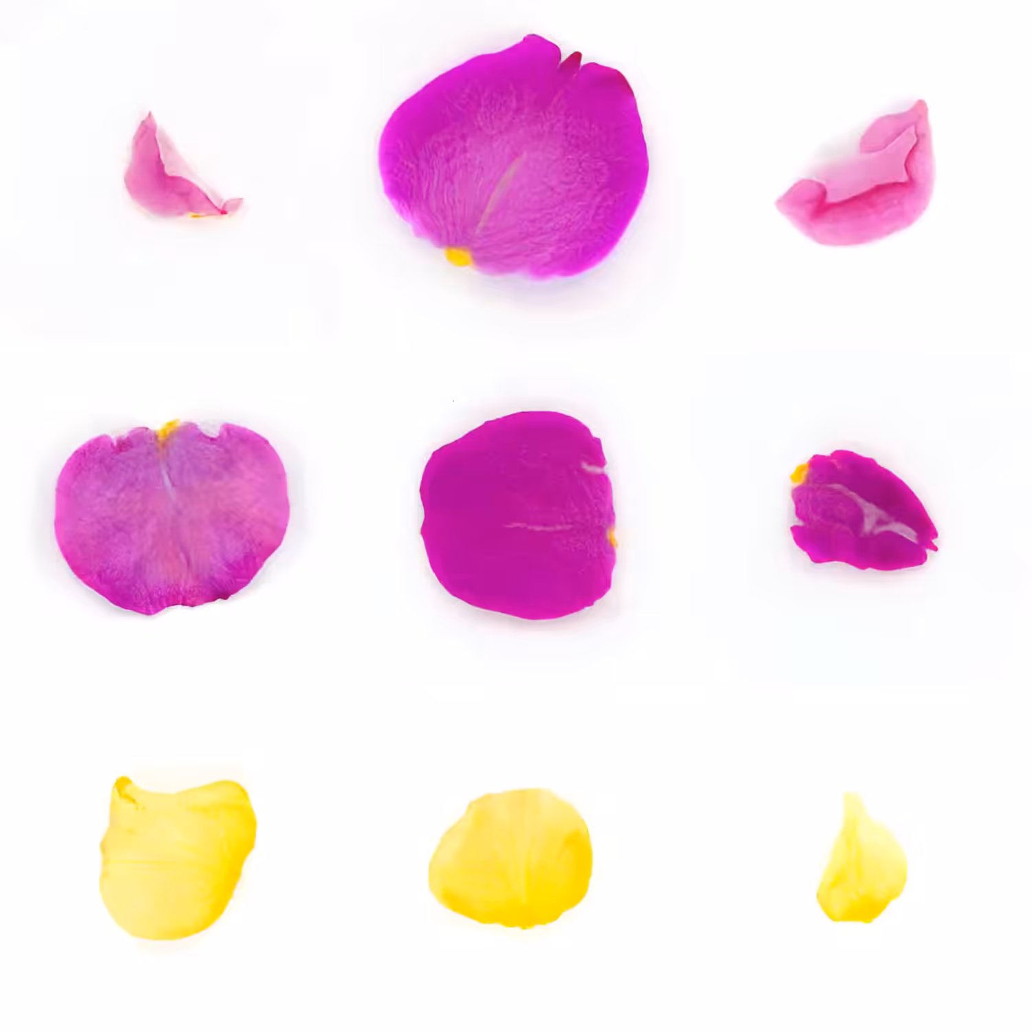 Infinite Petals 3x3#1094