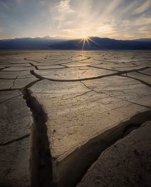 Star of the Desert