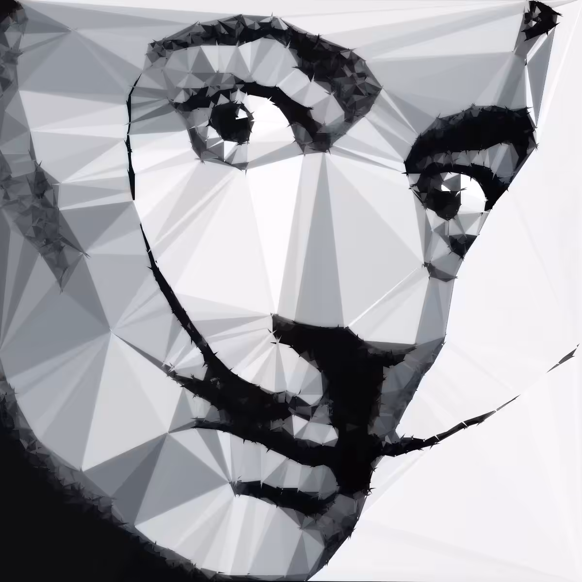 Portrait Coding II - Delaunay Triangulation