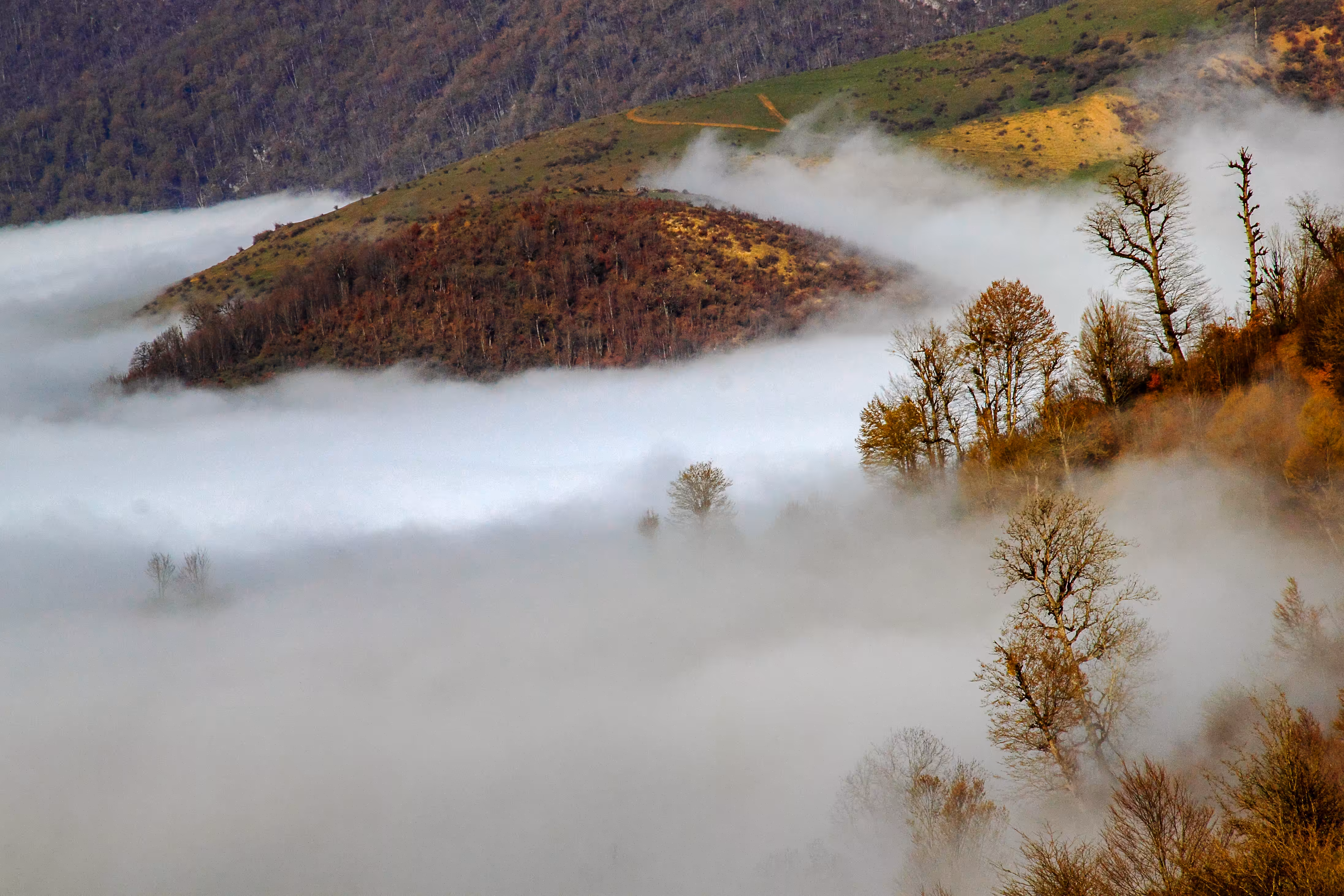 Sea of clouds